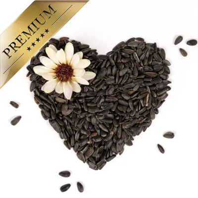 Lyra Pet® Graines de tournesol noires