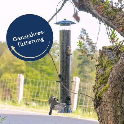 Lyra Pet® Sonnenblumenkerne schwarz