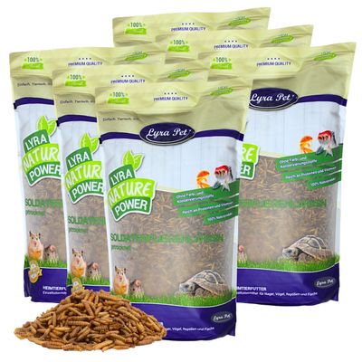 Lyra Pet® Larves de mouches soldats