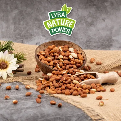Cacahuètes Lyra Pet® avec peau