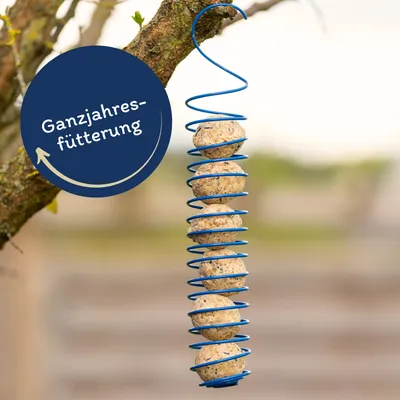 Lyra Pet® Basic Boulettes de mésanges sans filet à 90 g