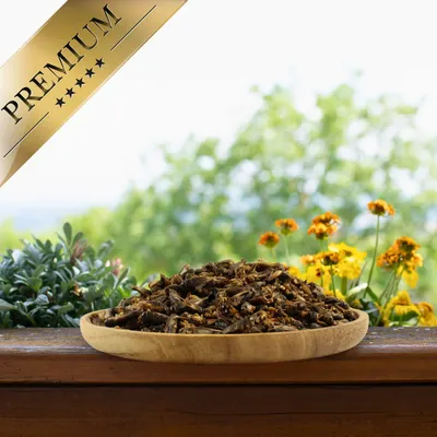 Lyra Pet® Grillons séchées