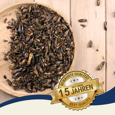 Lyra Pet® Grillons séchées