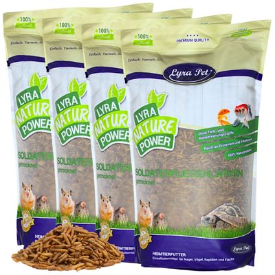 Lyra Pet® Larves de mouches soldats