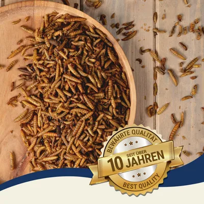 Lyra Pet® Larves de mouches soldats