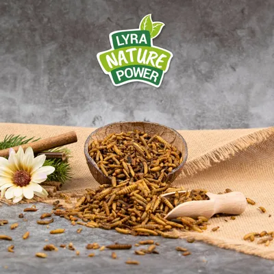 Lyra Pet® Larves de mouches soldats