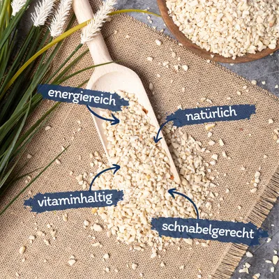 Cacahuètes blanches hachées Lyra Pet®