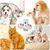 ZooVenture Réglable Gamelles Pour Chiens