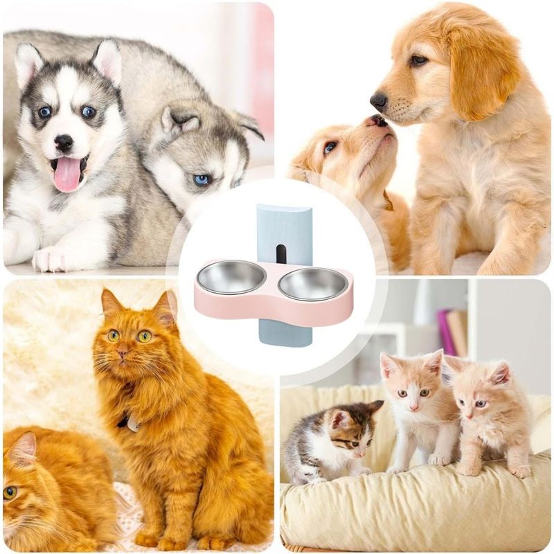 ZooVenture Réglable Gamelles Pour Chiens