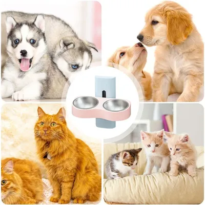 ZooVenture Réglable Gamelles Pour Chiens