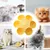 ZooVenture Gamelle en forme de fleur pour chat
