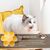 ZooVenture Gamelle en forme de fleur pour chat