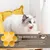 ZooVenture Gamelle en forme de fleur pour chat
