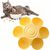 ZooVenture Gamelle en forme de fleur pour chat