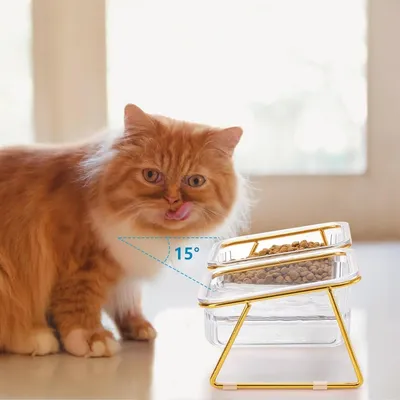 ZooVenture Juego de comederos elevados inclinados para gatos