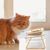 ZooVenture Incliné Ensemble de gamelles surélevées pour chats