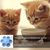 ZooVenture Gamelle en forme de fleur pour chat