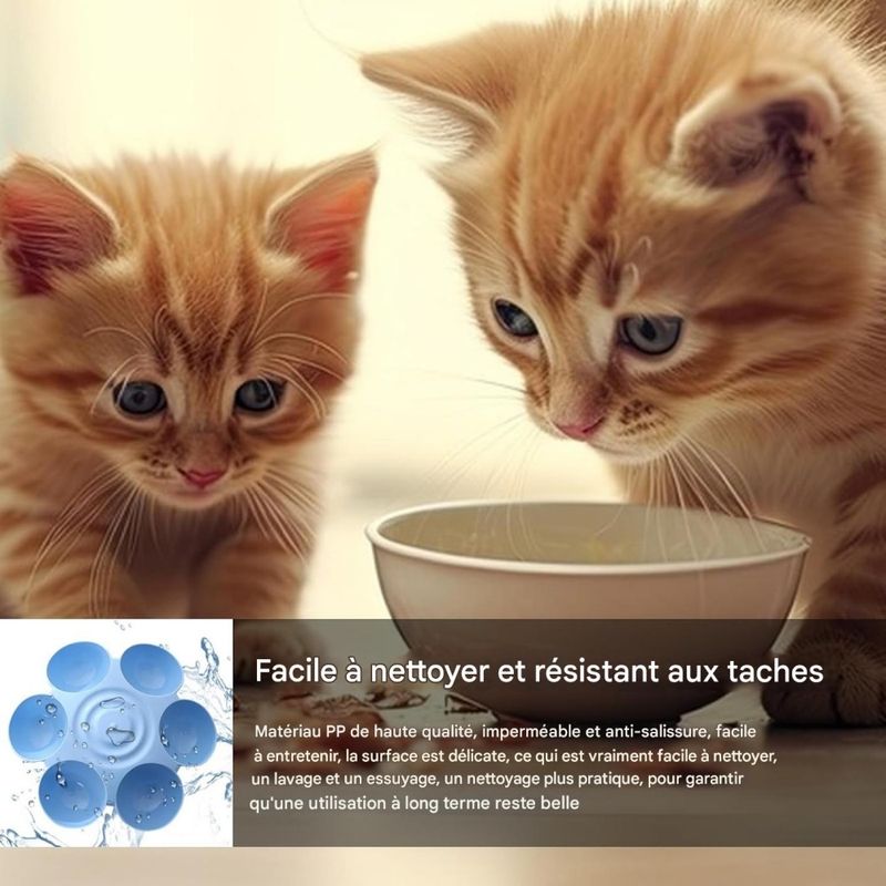 ZooVenture Gamelle en forme de fleur pour chat