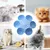 ZooVenture Gamelle en forme de fleur pour chat