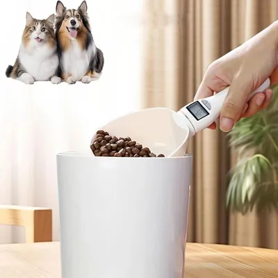 ZooVenture Nourriture et cuillères pour chiens et chats