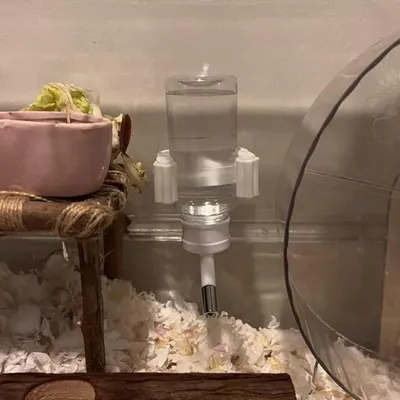 ZooVenture Suspendu Distributeur Eau Pour Lapin Et Hamster