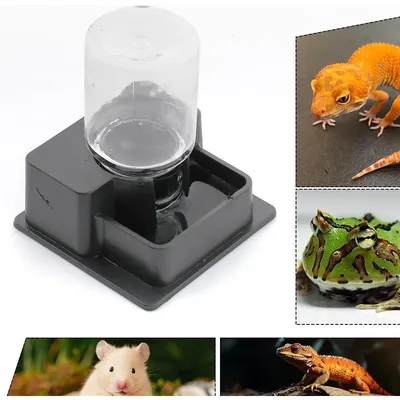 ZooVenture Automatique Fontaine À Eau Pour Reptiles