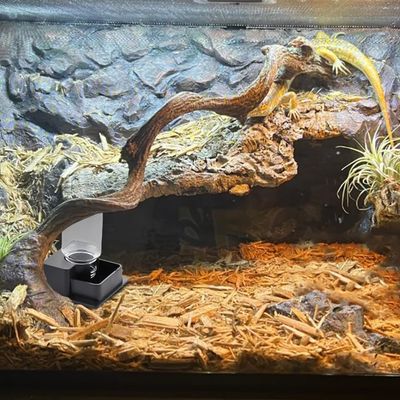 ZooVenture Automatique Fontaine À Eau Pour Reptiles