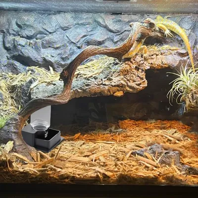 ZooVenture Automatique Fontaine À Eau Pour Reptiles