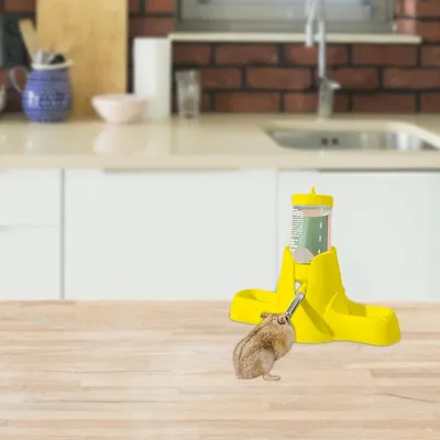 ZooVenture Distributeur d'eau pour petits animaux