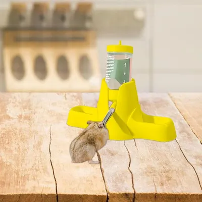 ZooVenture Distributeur d'eau pour petits animaux