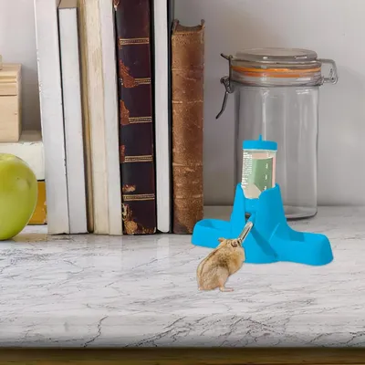 ZooVenture Distributeur d'eau pour petits animaux