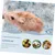 ZooVenture Tapis d'entraînement pour hamsters