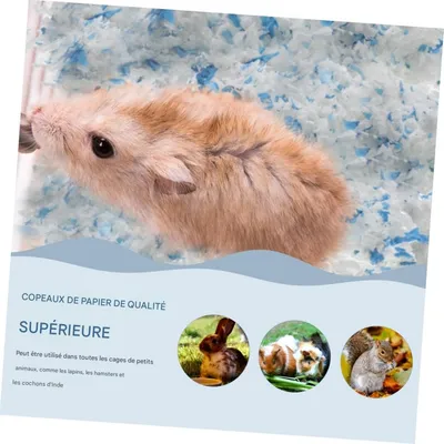 ZooVenture Tapis d'entraînement pour hamsters