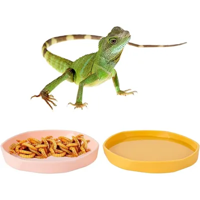ZooVenture Lot de 4 gamelles à eau pour reptiles