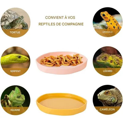 ZooVenture Lot de 4 gamelles à eau pour reptiles