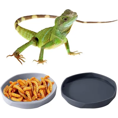 ZooVenture Lot de 4 gamelles à eau pour reptiles