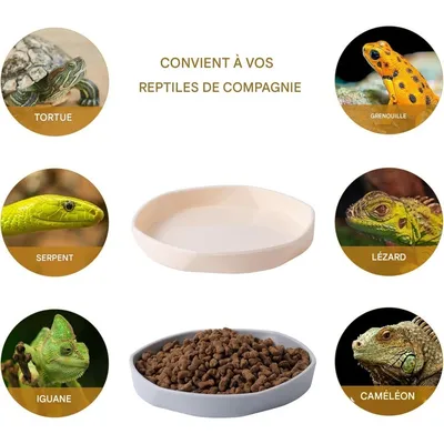 ZooVenture Lot de 4 gamelles à eau pour reptiles