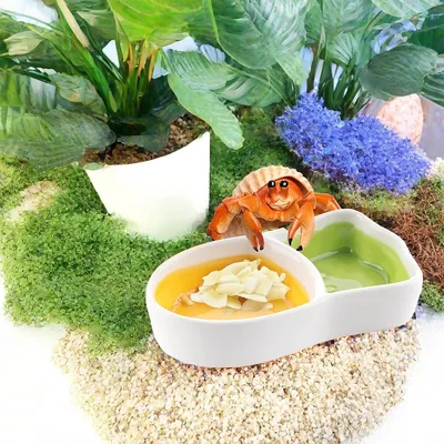 ZooVenture Bol céramique en forme de carotte pour hamster