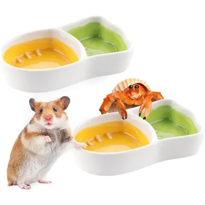 ZooVenture Bol céramique en forme de carotte pour hamster ZooVenture Bol céramique en forme de carotte pour hamster