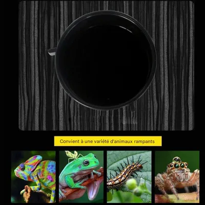 ZooVenture Récipient d'alimentation pour reptiles