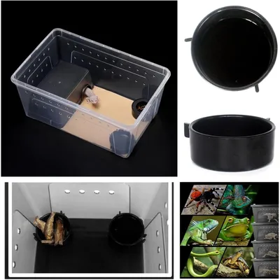 ZooVenture Récipient d'alimentation pour reptiles