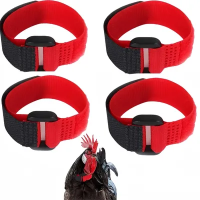 ZooVenture Hahnenhalsband für Hühner