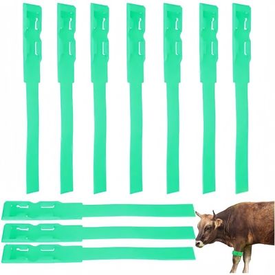 ZooVenture Bracelets d'identification pour vache