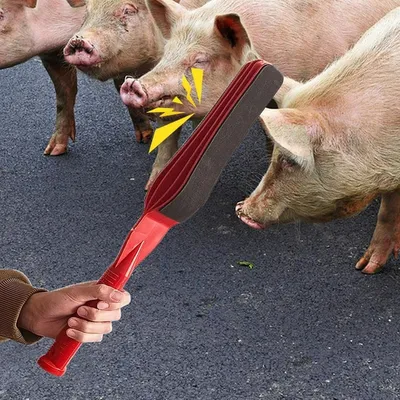 ZooVenture Fouet à main pour cochon