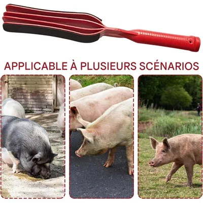 ZooVenture Fouet à main pour cochon