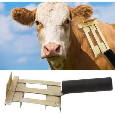 ZooVenture Peigne de bétail pour animaux domestiques