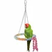 ZooVenture Jouet de balançoire pour oiseaux