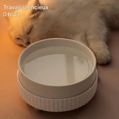 ZooVenture USB Chauffante Gamelle en Céramique pour Animaux Domestiques