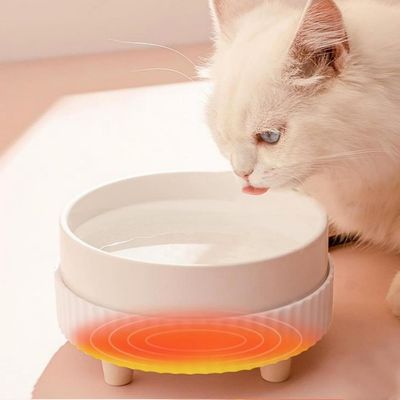 ZooVenture Comedero de cerámica con calefacción USB para mascotas