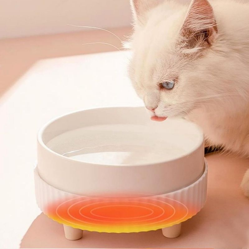 ZooVenture USB Chauffante Gamelle en Céramique pour Animaux Domestiques